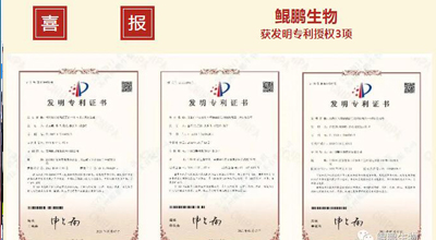 欧亿体育生物 | 核心平台技术获得中国发明专利